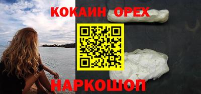 шишки Можга